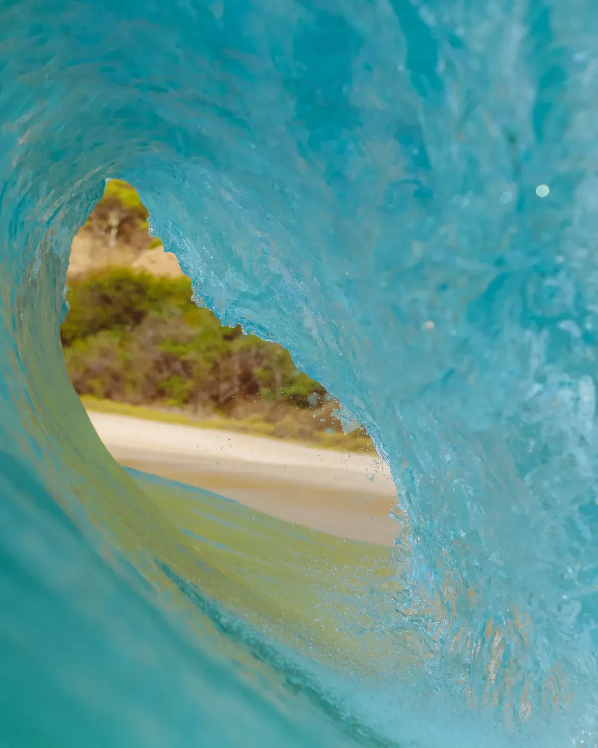 Vague turquoise qui se creuse, crête translucide éclairée à contre-jour et voile d'écume blanche